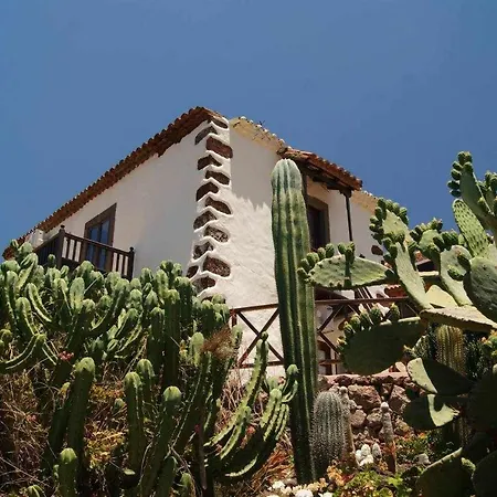 El Olivar - El Orujo Holiday home Santa Lucia De Tirajana
